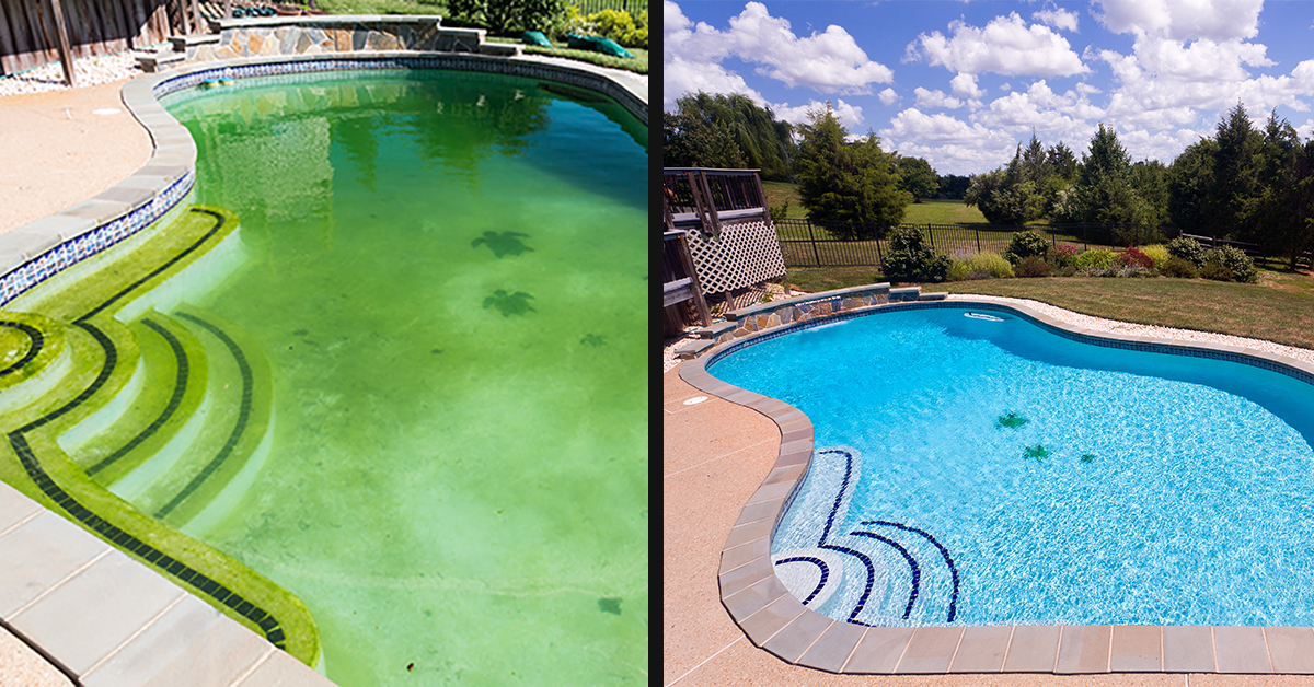 Ouvrir sa piscine au printemps : comment traiter une eau verte ?